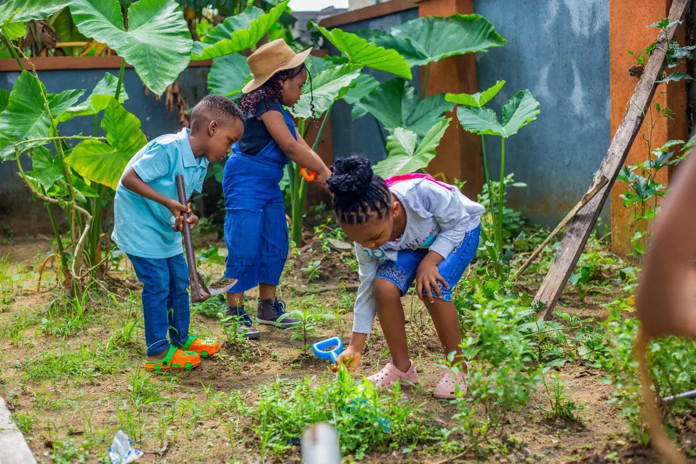Young pupils digging and planting among broad leaves in the garden