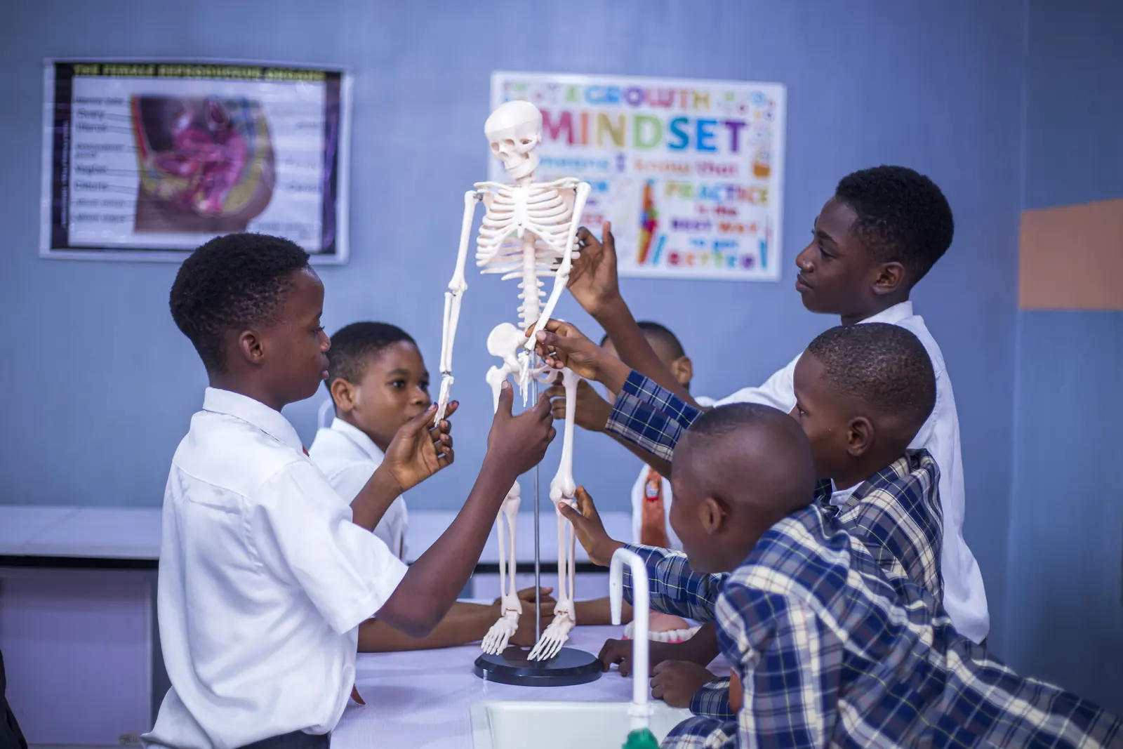 High School students studying a model skeleton in the science laboratory